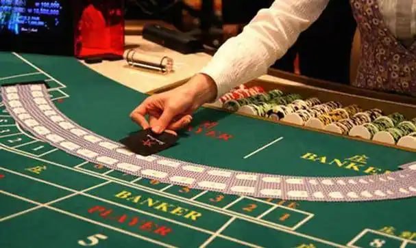 The King Club giới thiệu